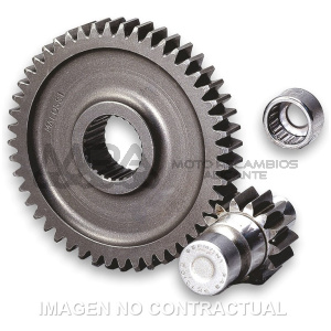DESARROLLO SECUNDARIO CON JAULA RUNNER 50,SFERA 50
