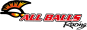 KIT REVISION PIÑON DE SALIDA ALL BALLS 25-4030