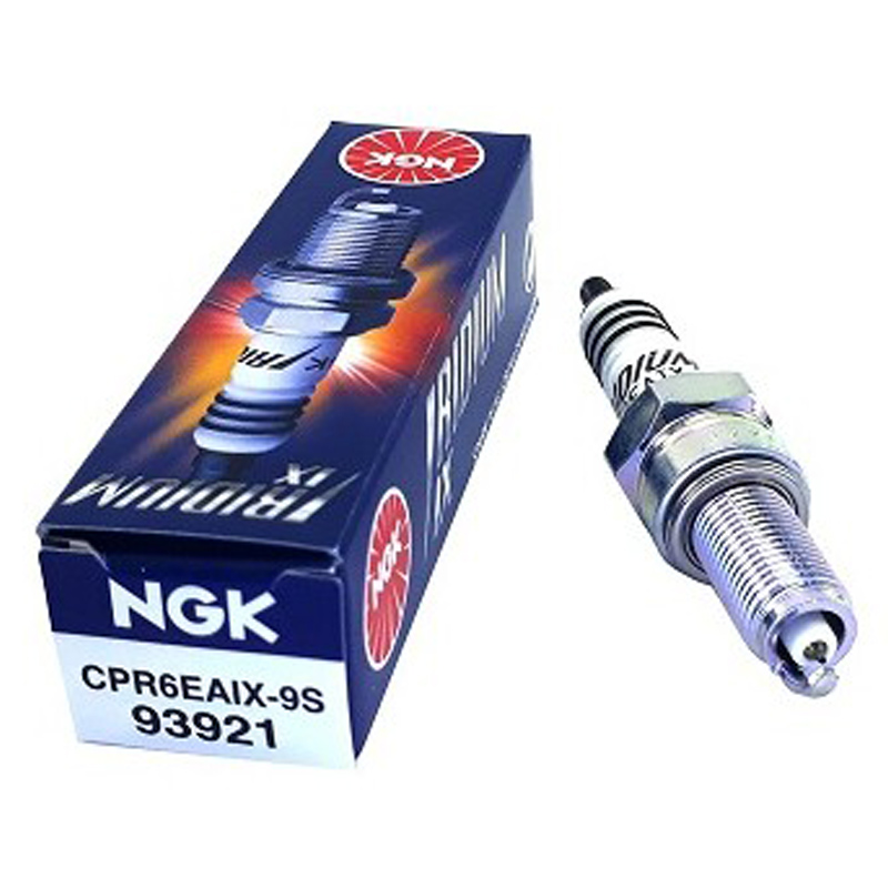 BUJIA NGK IRIDIUM CPR6EAIX-9S