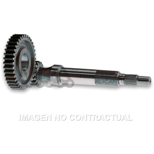 DESARROLLO PRIMARIO 15/43 DERBI PREDATOR