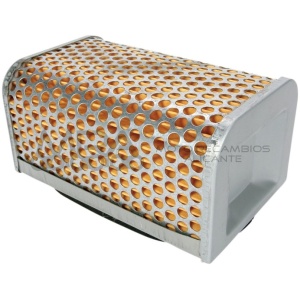 FILTRO AIRE 11013-1013