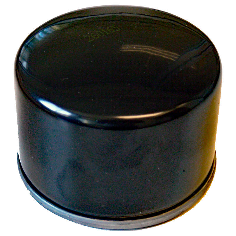 FILTRO ACEITE BMW F-800