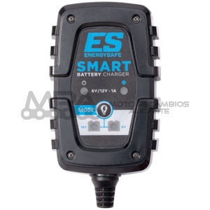 CARGADOR ENERGYSAFE SMART1